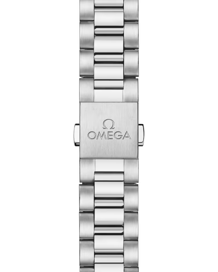 Seamaster Aqua Terra 38mm