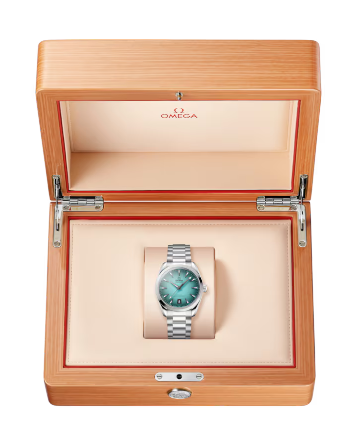 Seamaster Aqua Terra 38mm