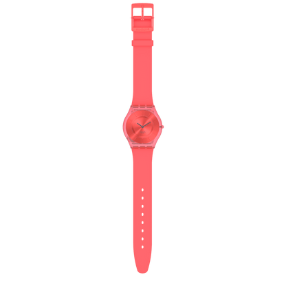 Sweet Coral