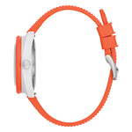 Load image into Gallery viewer, Snorkel Clownfish
