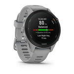 Load image into Gallery viewer, Forerunner 255S
