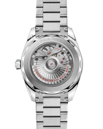 Load image into Gallery viewer, Seamaster Aqua Terra 38mm
