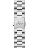 Load image into Gallery viewer, Seamaster Aqua Terra 38mm
