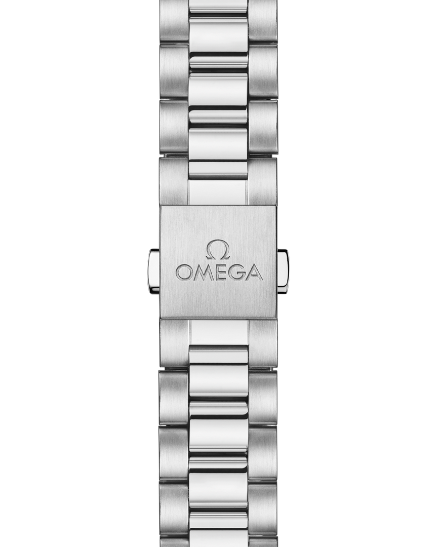 Seamaster Aqua Terra 38mm