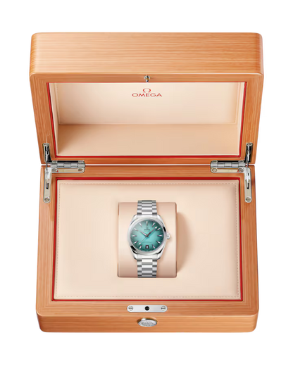 Seamaster Aqua Terra 38mm