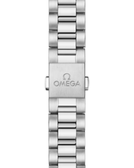 Load image into Gallery viewer, Seamaster Aqua Terra 41mm
