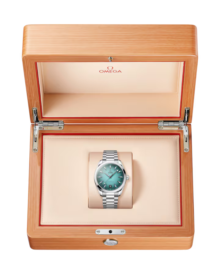 Seamaster Aqua Terra 41mm