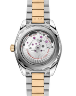 Load image into Gallery viewer, Seamaster Aqua Terra 150M
