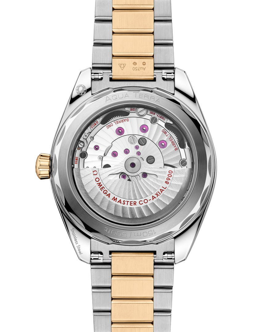 Seamaster Aqua Terra 150M