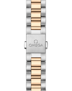 Load image into Gallery viewer, Seamaster Aqua Terra 150M
