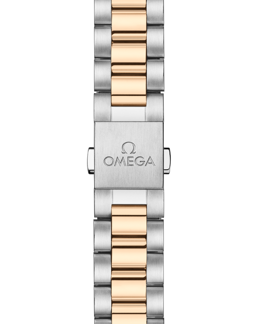 Seamaster Aqua Terra 150M