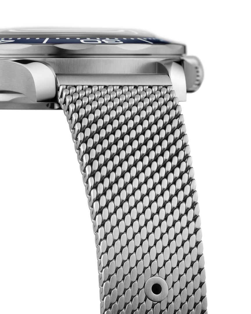 Seamaster Diver 300M