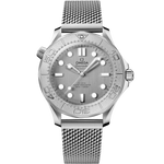 Load image into Gallery viewer, Seamaster Diver 300M
