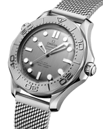 Load image into Gallery viewer, Seamaster Diver 300M
