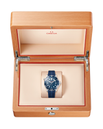 Load image into Gallery viewer, Seamaster Diver 300M
