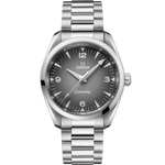 Load image into Gallery viewer, Seamaster Railmaster
