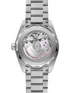Load image into Gallery viewer, Seamaster Railmaster
