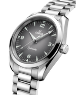 Load image into Gallery viewer, Seamaster Railmaster
