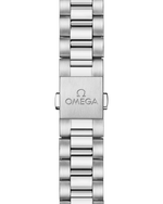 Load image into Gallery viewer, Seamaster Railmaster

