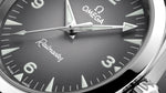 Load image into Gallery viewer, Seamaster Railmaster
