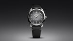 Load image into Gallery viewer, Seamaster Railmaster
