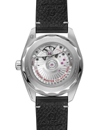 Load image into Gallery viewer, Seamaster Railmaster
