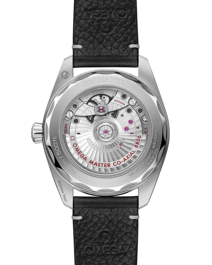 Seamaster Railmaster