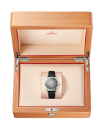 Load image into Gallery viewer, Seamaster Railmaster
