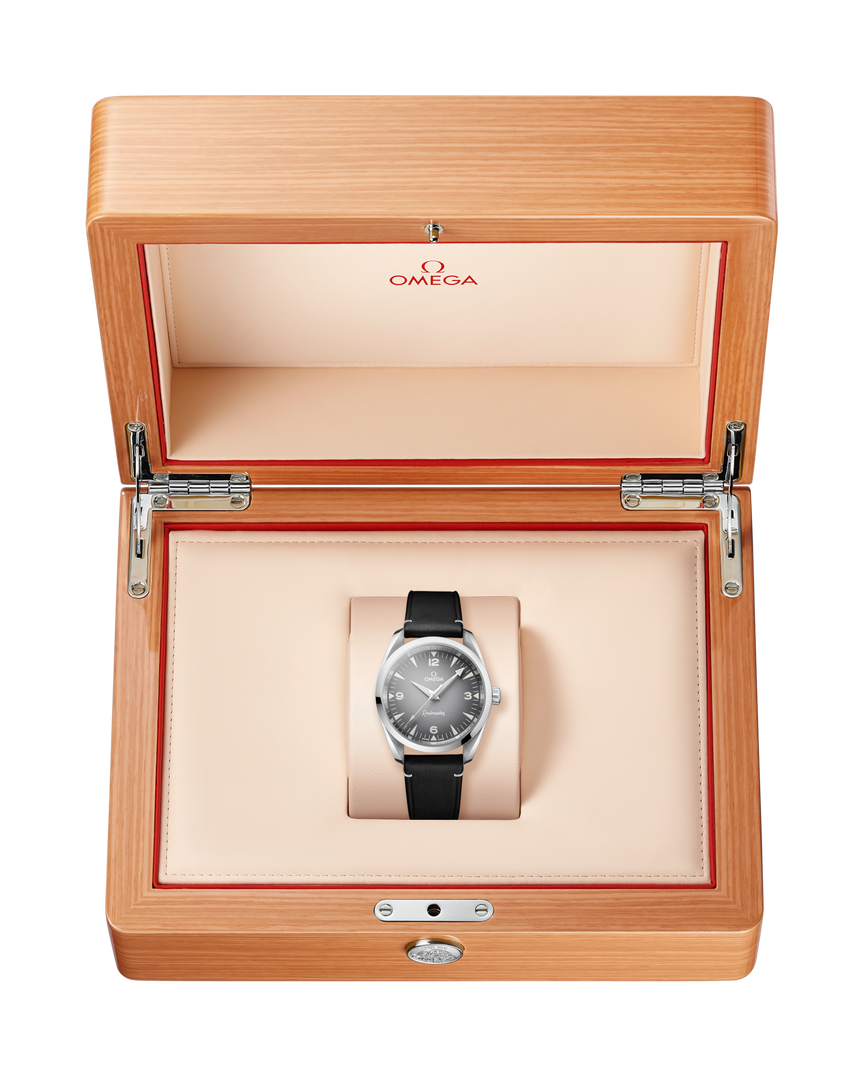 Seamaster Railmaster