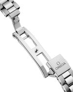 Load image into Gallery viewer, Seamaster Railmaster
