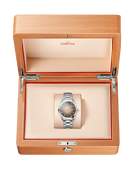 Load image into Gallery viewer, Seamaster Railmaster
