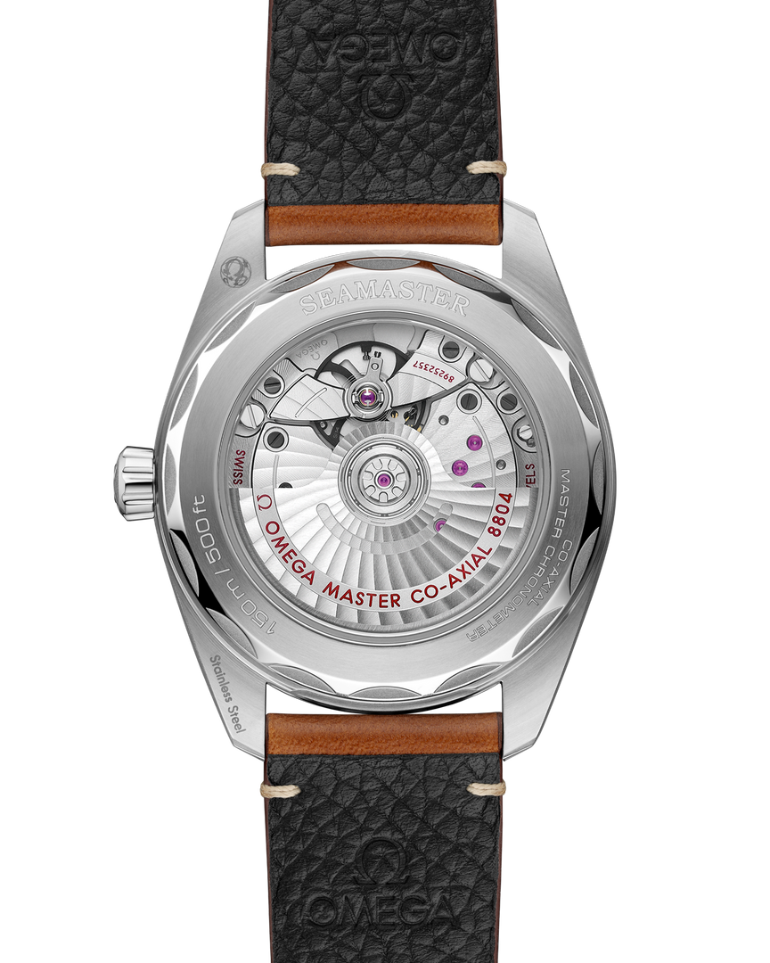 Seamaster Railmaster