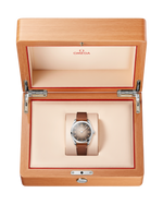 Load image into Gallery viewer, Seamaster Railmaster
